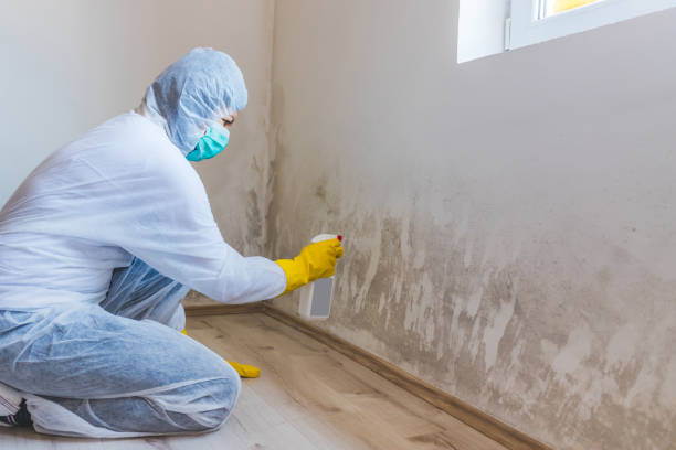 Licensed Crawl Space Mold Remediation service in Palmyra, NJ - 24 Hour Mold Removal