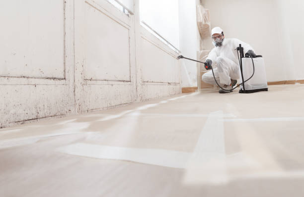 24/7 Emergency Crawl Space Mold Remediation experts in Palmyra, NJ
