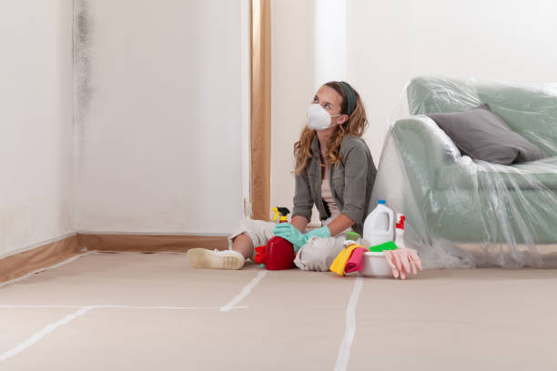 Reliable Crawl Space Mold Remediation contractor in Palmyra, NJ by 24 Hour Mold Removal