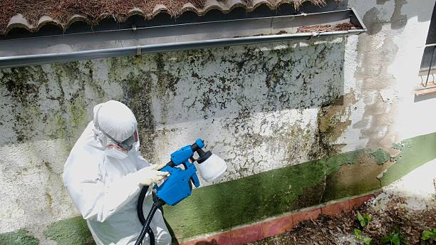 Top rated local Crawl Space Mold Remediation specialists in Palmyra, NJ